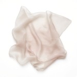 Sheer Scarf