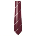 Stripe Tie