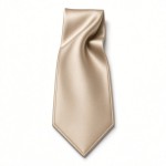 Premium Satin Tie